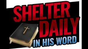 SHELTER DAILY IN HIS WORD