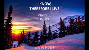 I Know Therefore I Live