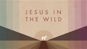 Jesus in the Wild Lessons from the Wild