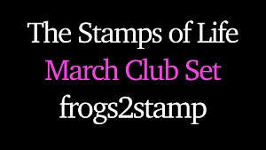 The Stamps of Life Frogs2stamp Clear Stamps 
