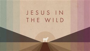 Jesus in the Wild The VOICE Above All Others