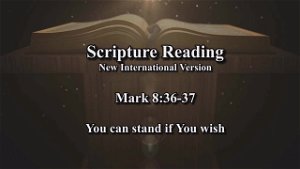 Understanding the Trinity Mark 83637