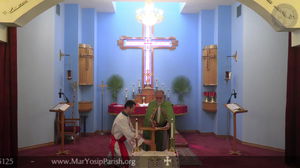Palm Sunday Hosannas