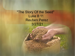 The Story Of The Seed32721