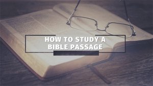 How To Study A Bible Passage