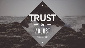 Trust  Adjust