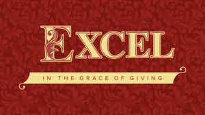 EXCEL The MOMENTUM of giving