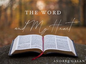 The Word and My Heart