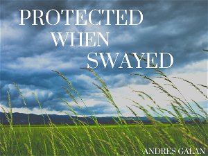 Protected When Swayed