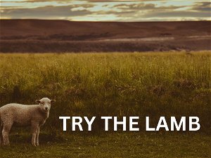 Try the Lamb