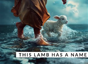 This Lamb Has A Name