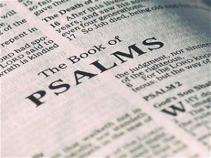 Psalms of PraisePsalms 118 8