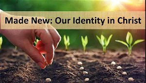Made New Our Identity In Christ 