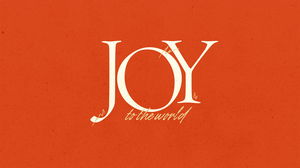 Expect Joy  12152024