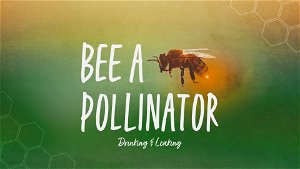 Bee a Pollinator