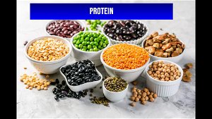 Protein  A special presentation