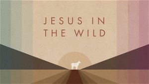 Jesus in the Wild The Word in the Wild