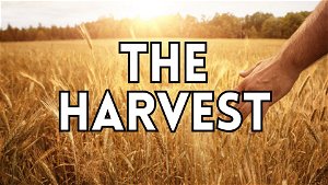 Harvest 2024