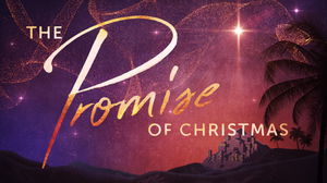 The Promise of Christmas  12124