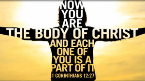 The Body of Christ The Church