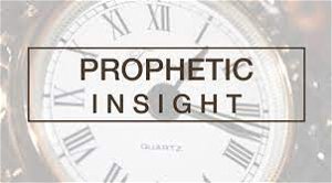 Prophetic Insight 1  The Protector