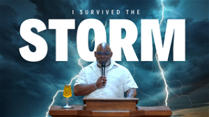 I Survived The Storm