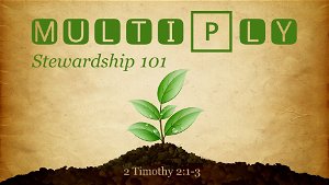 Multiply  Stewardship 101