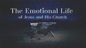 Jesus Experienced Sadness