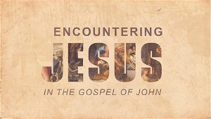 Encountering Jesus in JohnThe Testimony