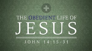 The Obedient Life of Jesus