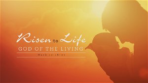 Risen to Life God of the Living