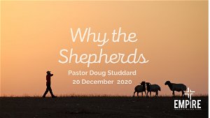 Why The Shepherds