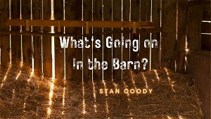 Whats Going on in the Barn