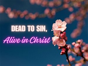Dead to Sin Alive to Christ