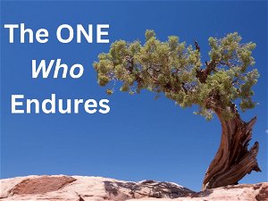 The One Who Endures